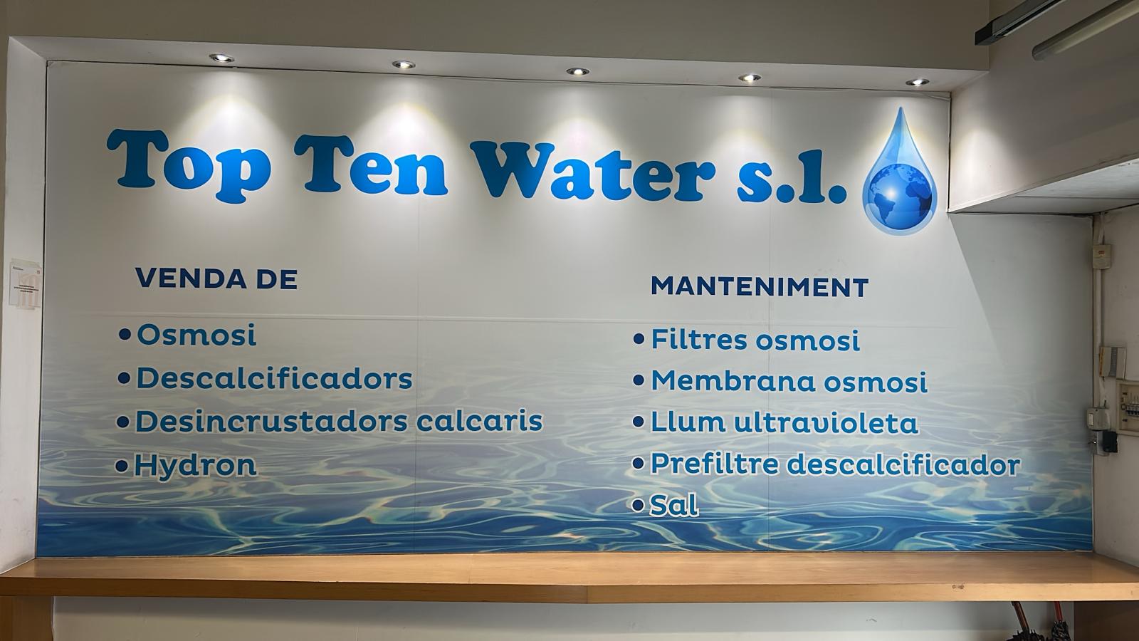 Servicio Profesional